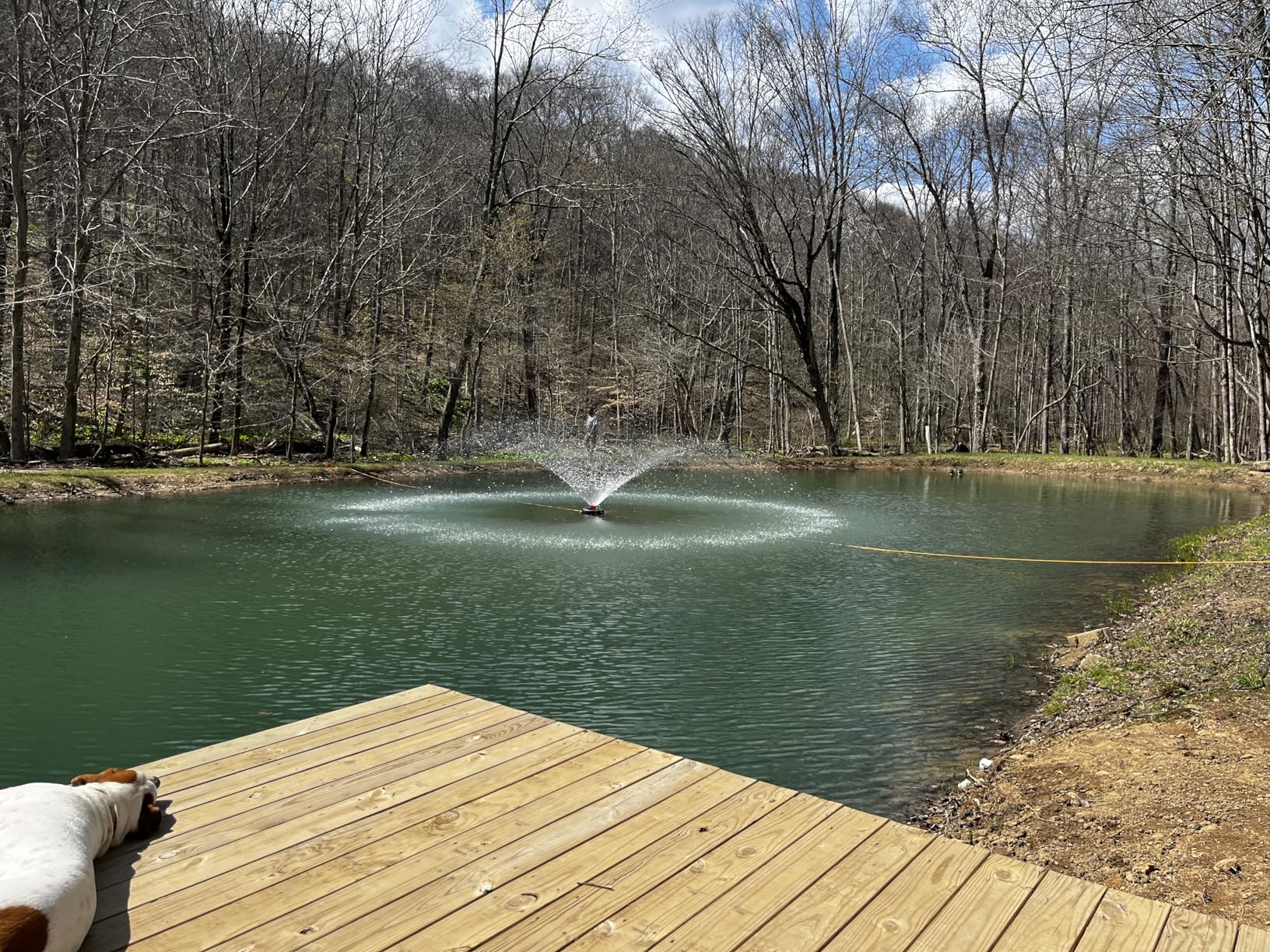 Pond Fountain Aerator, 1HP 110V 750W 15000 GPH Floating Fountain Pump with 100 FT Power Cord, 2 x 100 FT Rope, Timer, Fully Automatic Powerful Aerating Fountain for Larger Ponds, Lakes customer photo 1