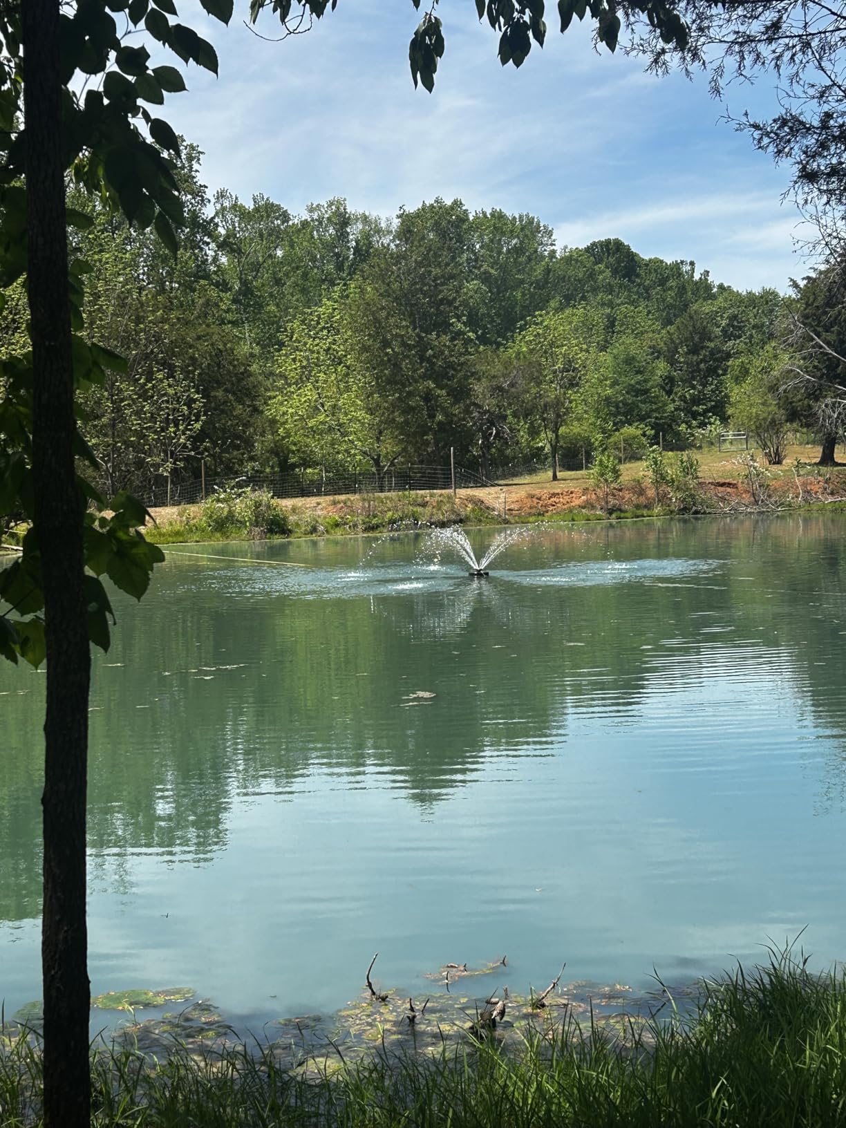 Pond Fountain Aerator, 1HP 110V 750W 15000 GPH Floating Fountain Pump with 100 FT Power Cord, 2 x 100 FT Rope, Timer, Fully Automatic Powerful Aerating Fountain for Larger Ponds, Lakes customer photo 2