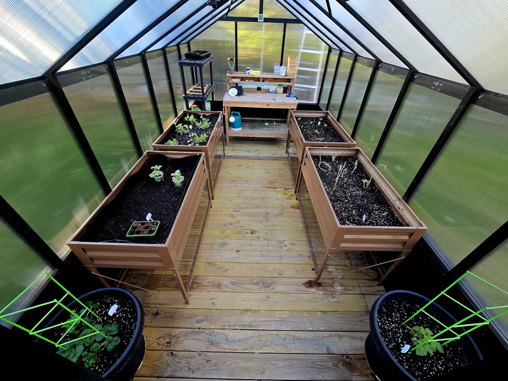 Yardenaler 8x16 FT Greenhouse for Outdoor, 6MM Thick Polycarbonate Panel Wooden Walk-in Green House with Adjustable Roof Vents and Lockable Door, Backyard Garden, Light Mocha Brown customer photo 2