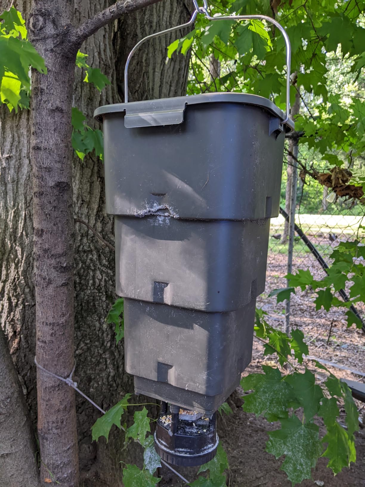 5 Gallon Hanging Deer Feeder with Programmable Digital Timer (4 Feed Times) | Automatic Game Feeder, Easy Installation, Batteries Not Included customer photo 2