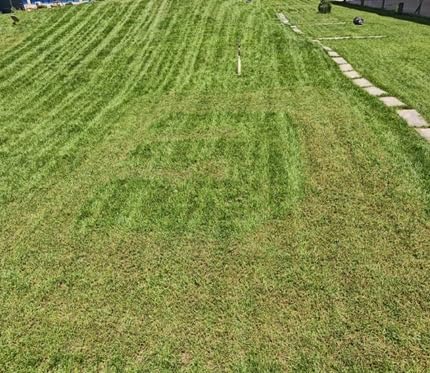 Sunseeker X5 AWD Robot Lawn Mower, RTK, Vision AI, 0.5 Acre, Wire-Free, Dependable AWD mowing for homeowners with medium to large everyday yards, slopes and uneven ground customer photo 2