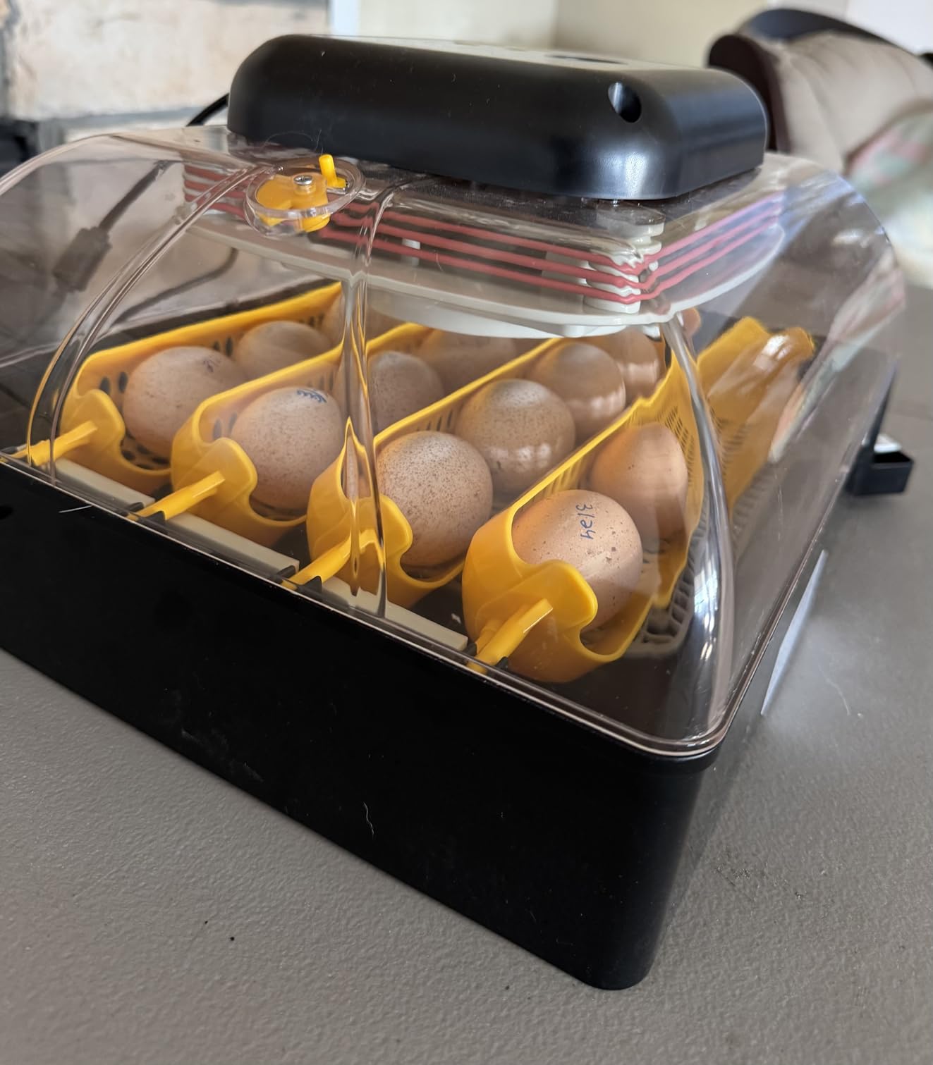 Hatching Time Pro24 Automatic Egg Incubator for Hatching Eggs - Digital Chicken Egg Incubator, Humidity Display, Auto Turner & LED Candler customer photo 2