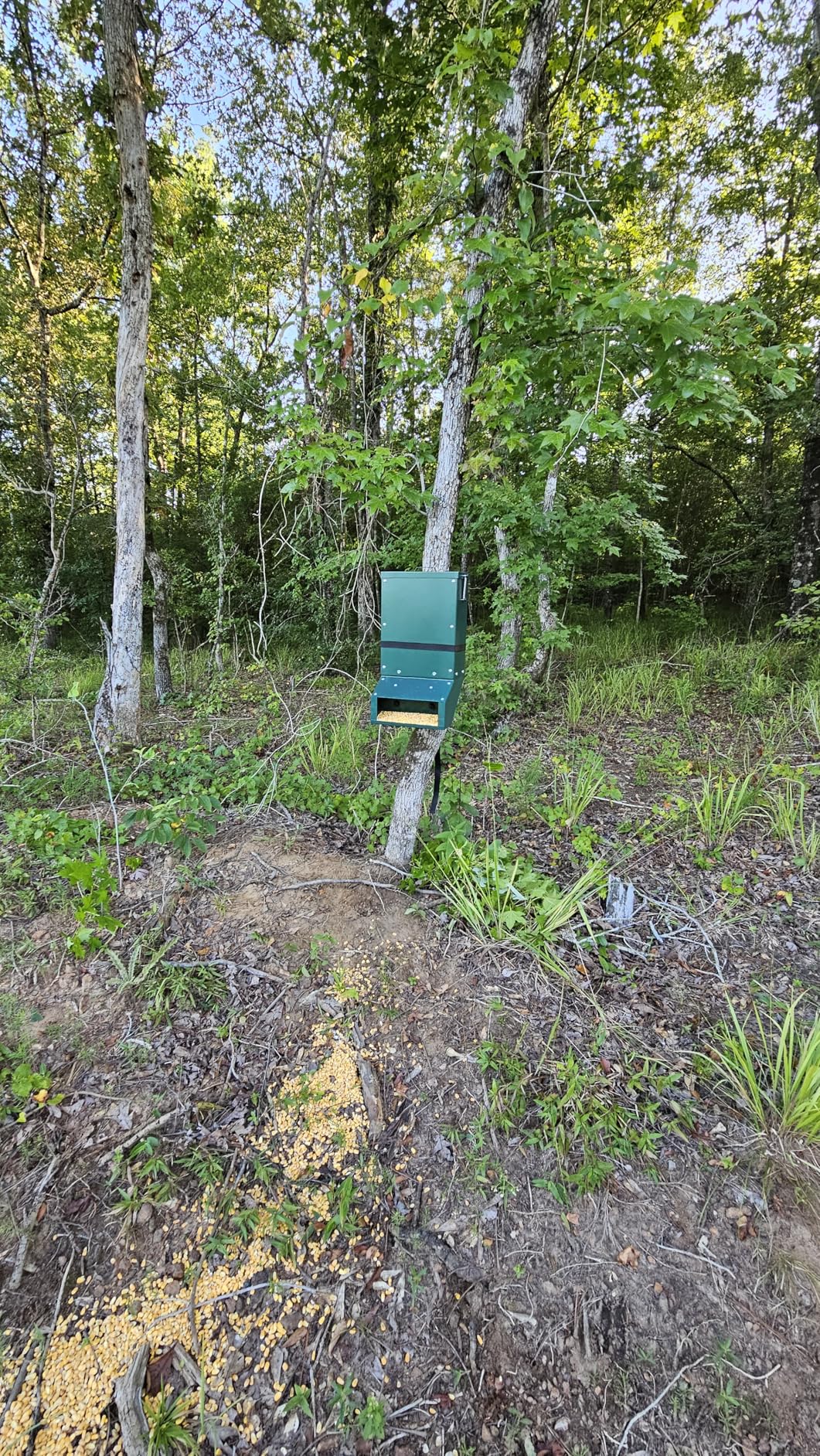 90-110lb Deer Feeder, Heavy Duty Metal Hunting Game Feeder | Weatherproof Wildlife Feeders for Hunting, Gravity Deer Feeder Automatic Dispenser Feeds Protein and Corn, Green customer photo 2