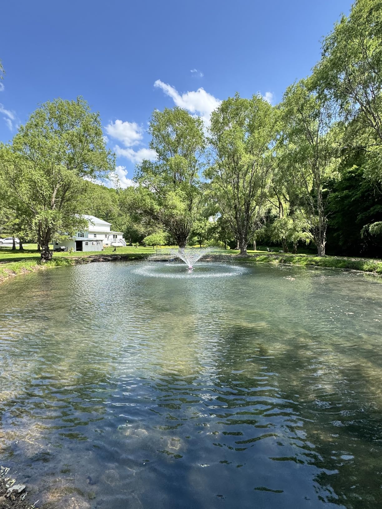 Pond Fountain Aerator with RGB LED Lights, 1HP 110V 15000 GPH Stainless Steel Floating Fountain, Lake Floating Fountain for Large Ponds, 100 FT Power Cord & Remote Control customer photo 2
