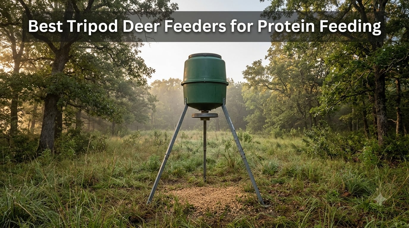 Best Tripod Deer Feeders for Protein Feeding
