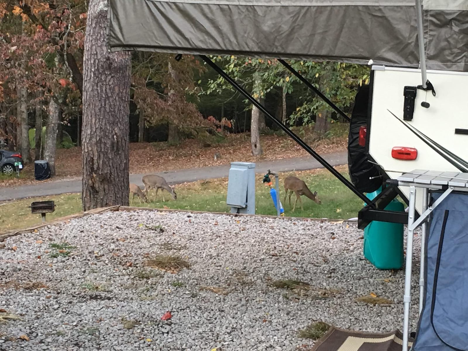 Camco Tastepure RV Water Filter - GAC & KDF Filtration - Made in the USA customer photo 2