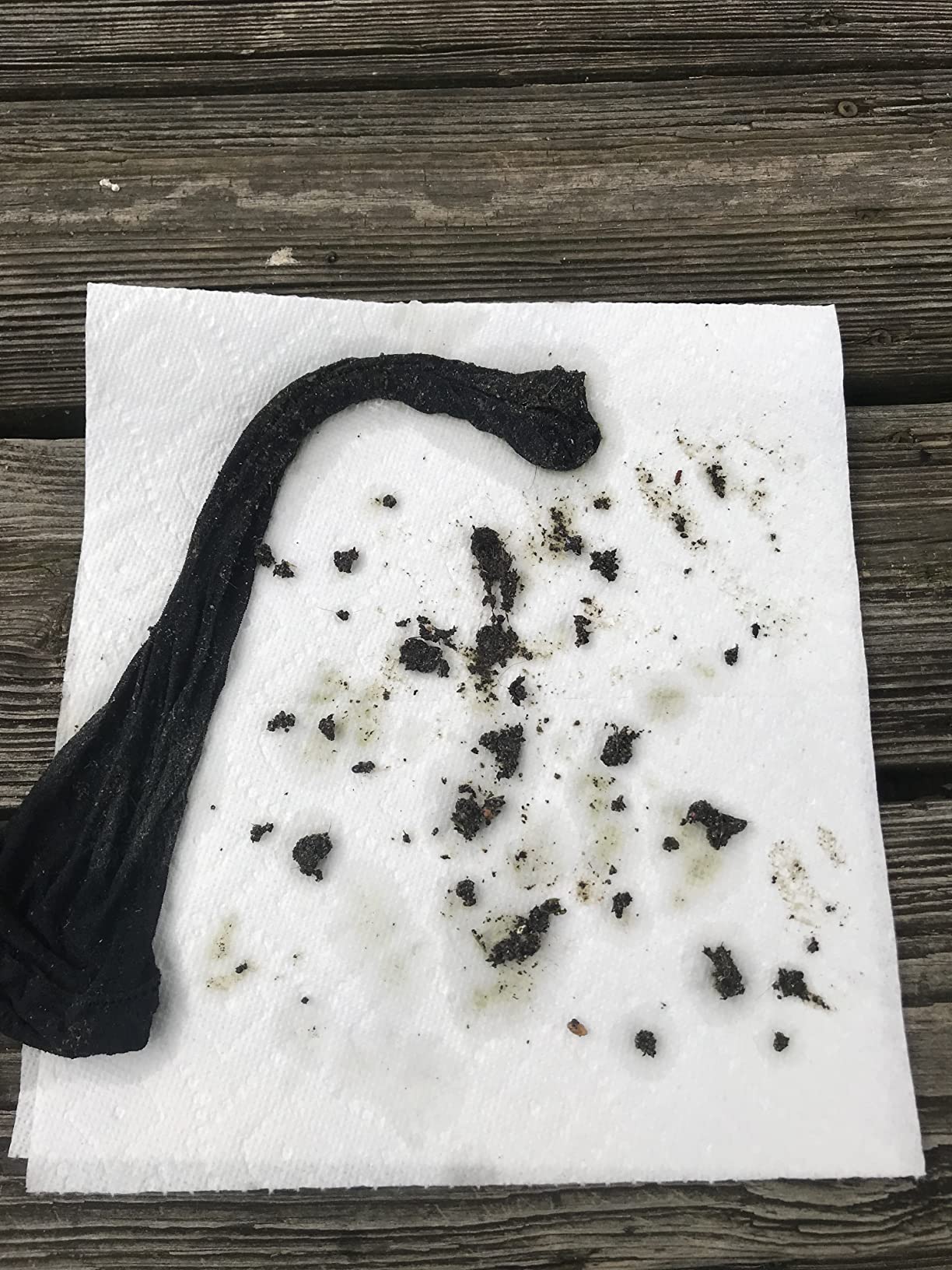 Poolmaster 28300 Big Sucker Manual Swimming Pool Leaf Vacuum Head, Blue customer photo 2