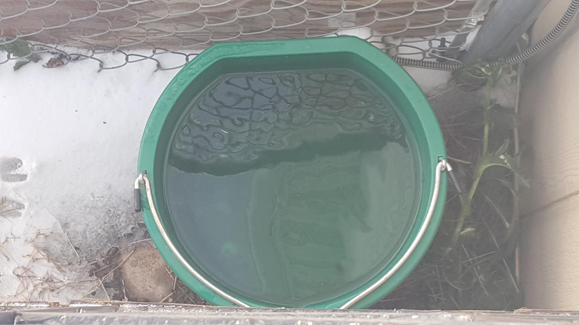 Farm Innovators FB-120 Plastic Flat Back Heated Bucket, 5-Gal (20-Qt) 120W customer photo 1