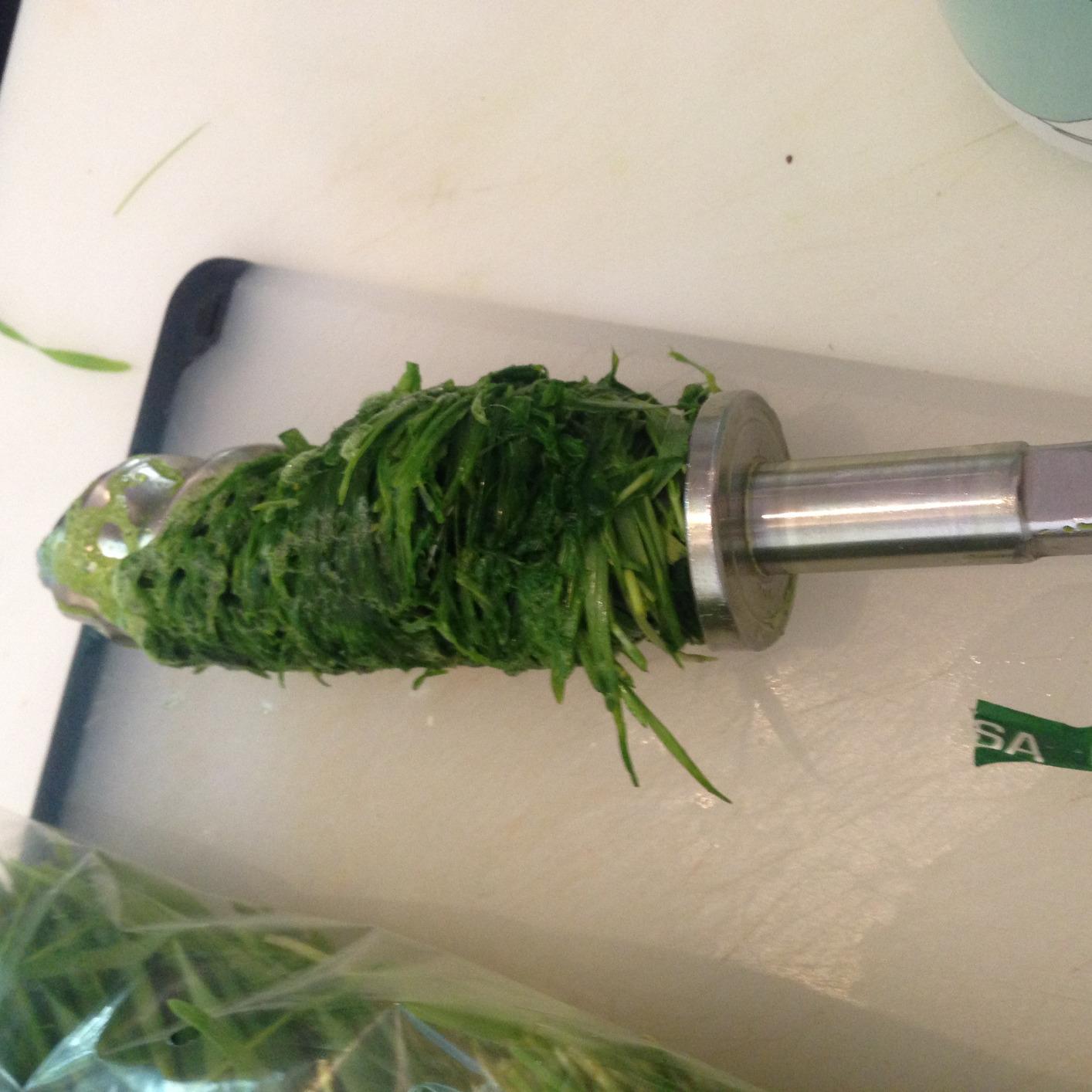 Miracle Pro Green Machine Wheat Grass Juicer customer photo 1