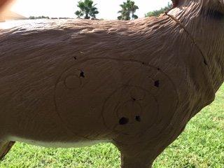 Delta McKenzieArchery Target customer photo 2