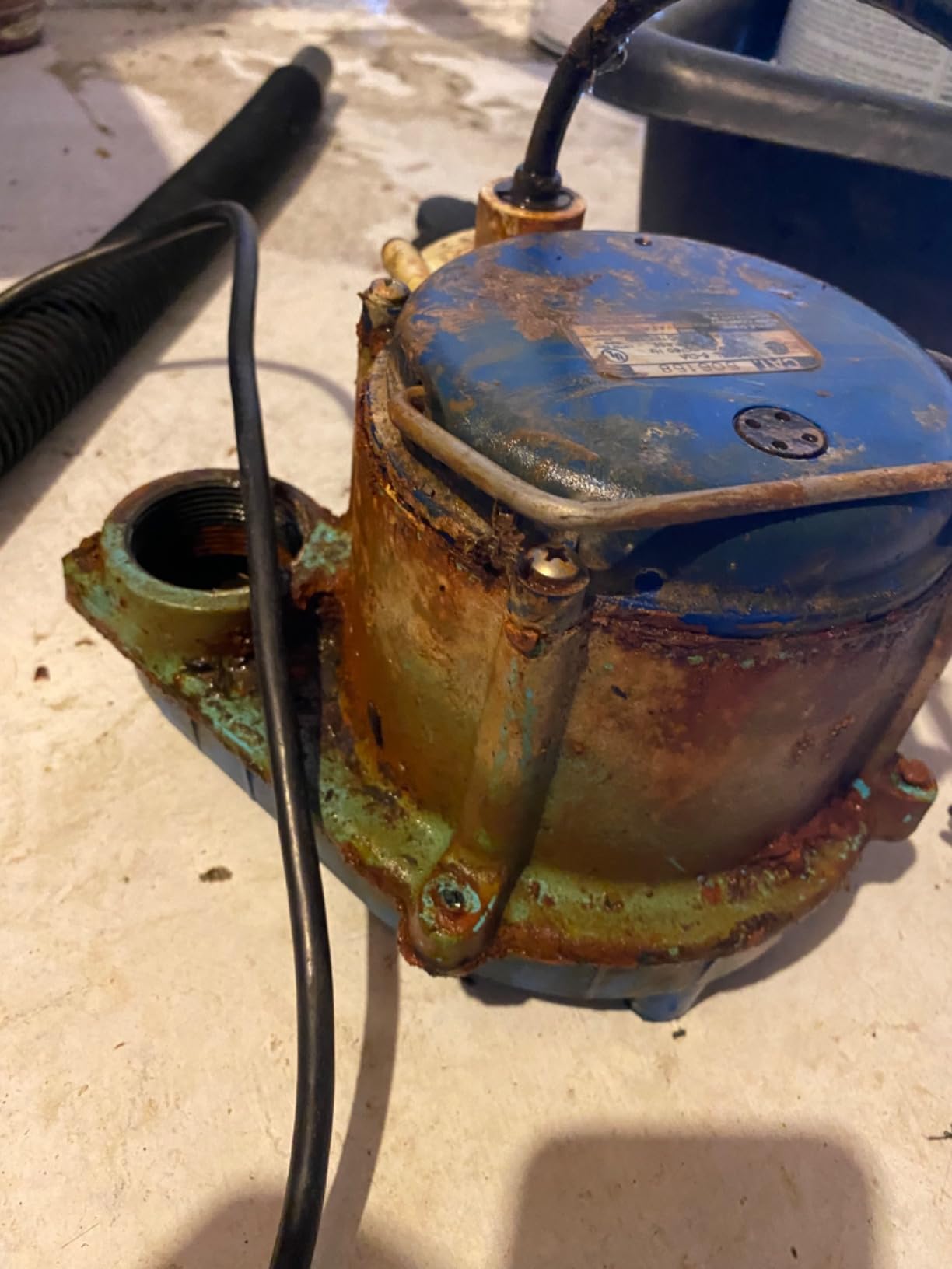 Little Giant 1/3 HP Cast Iron Submersible Sump Pump, Blue customer photo 1