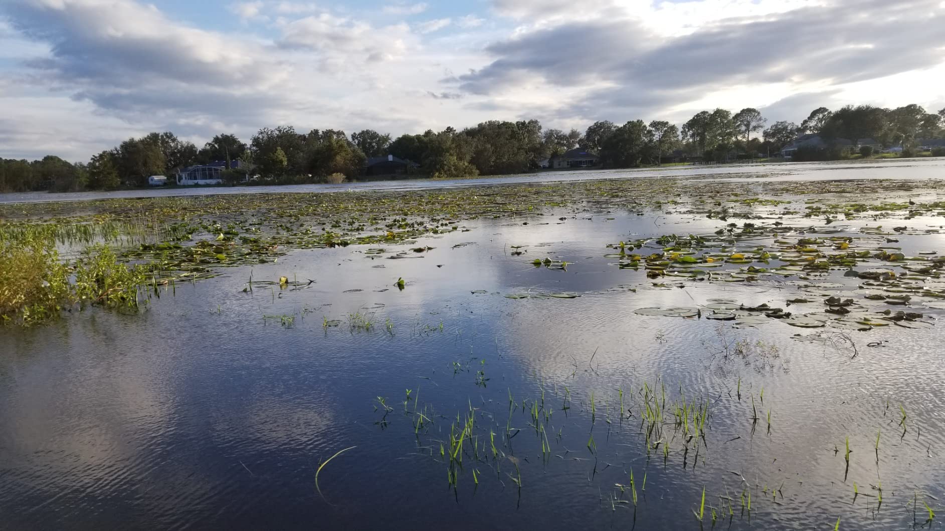 Jenlis Weed Razer - Aquatic Weed & Grass Cutter for Lakes, Ponds & Beaches customer photo 1