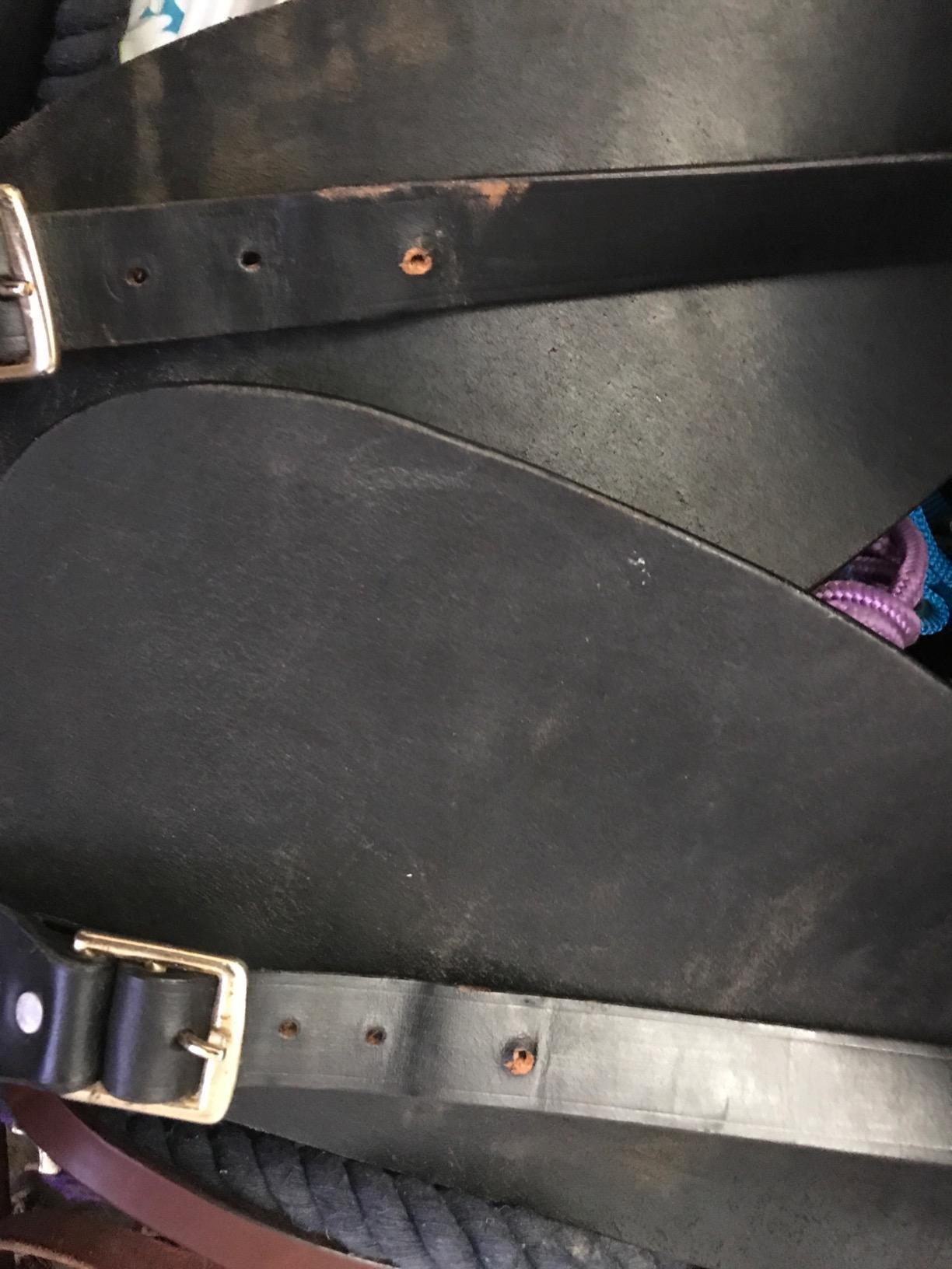 Tough 1 Royal King Long Distance Saddle 15 customer photo 2