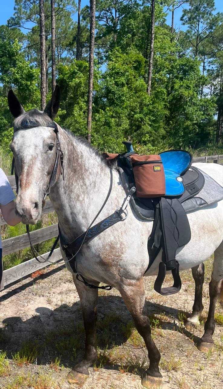 King Series Eclipse by Tough1 Round Skirt Competition Saddle customer photo 2