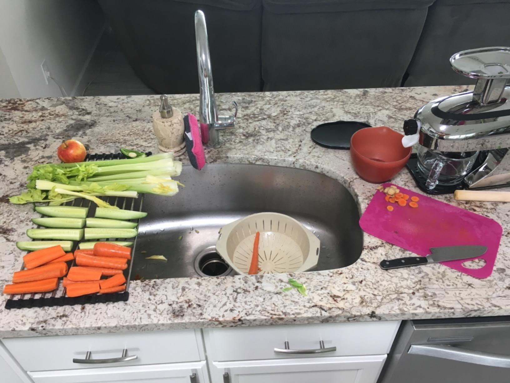 Tribest Greenstar GSE-5000 Elite Twin Gear Cold Press Slow Masticating Juicer (White) customer photo 2