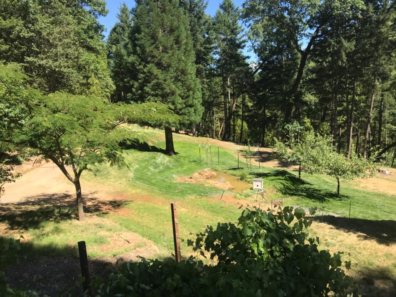 Curlex II Erosion Control Fabric, Double Netting, Green, 4ft x 112-1/2ft customer photo 1