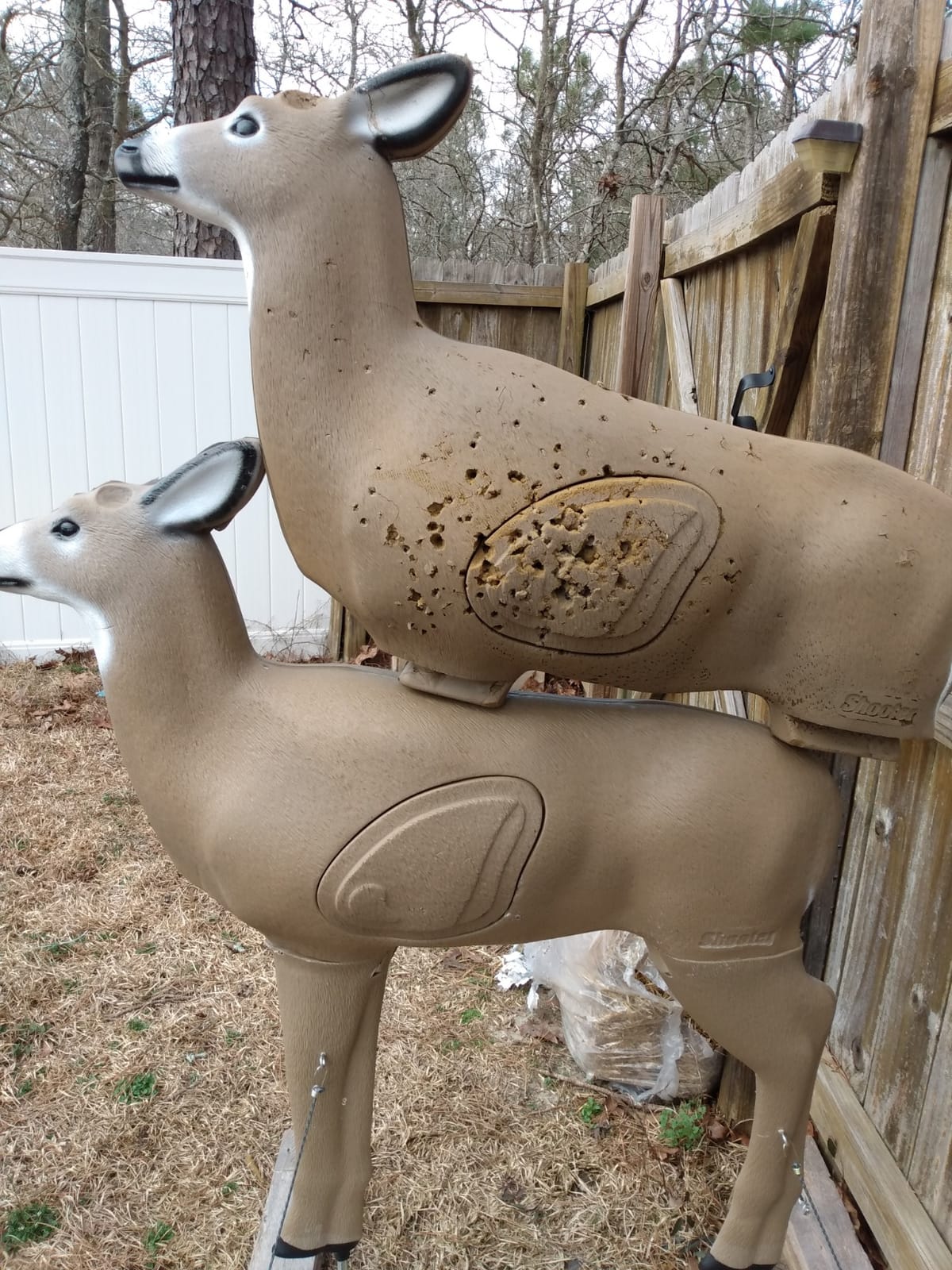 SHOOTER Buck 3D Archery Target, Replaceable Insert for Long Life, Weather-Resistant Construction, High-Density Impact-Response Foam Withstands Field Points, Broadheads, and Expandables customer photo 2