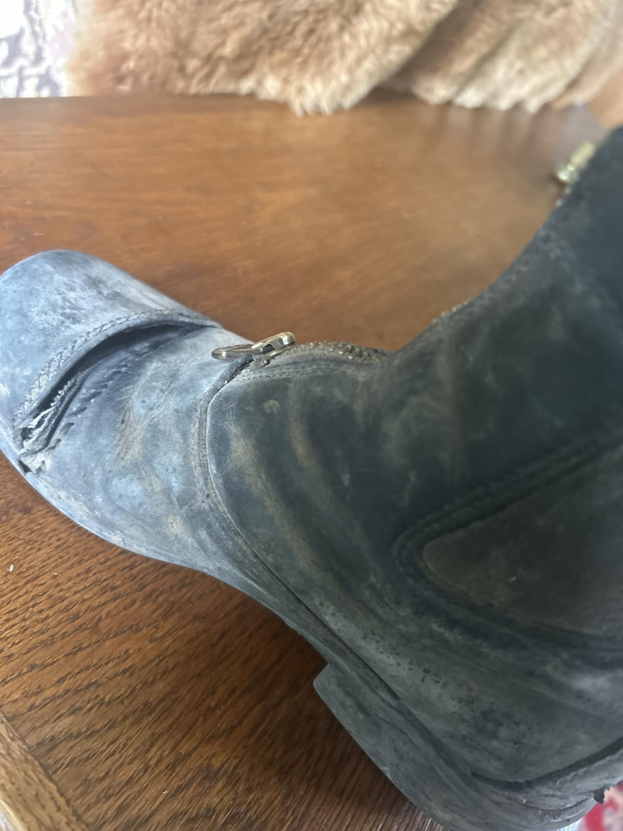 ARIAT Women's Heritage Rt Zip Paddock Boot customer photo 1