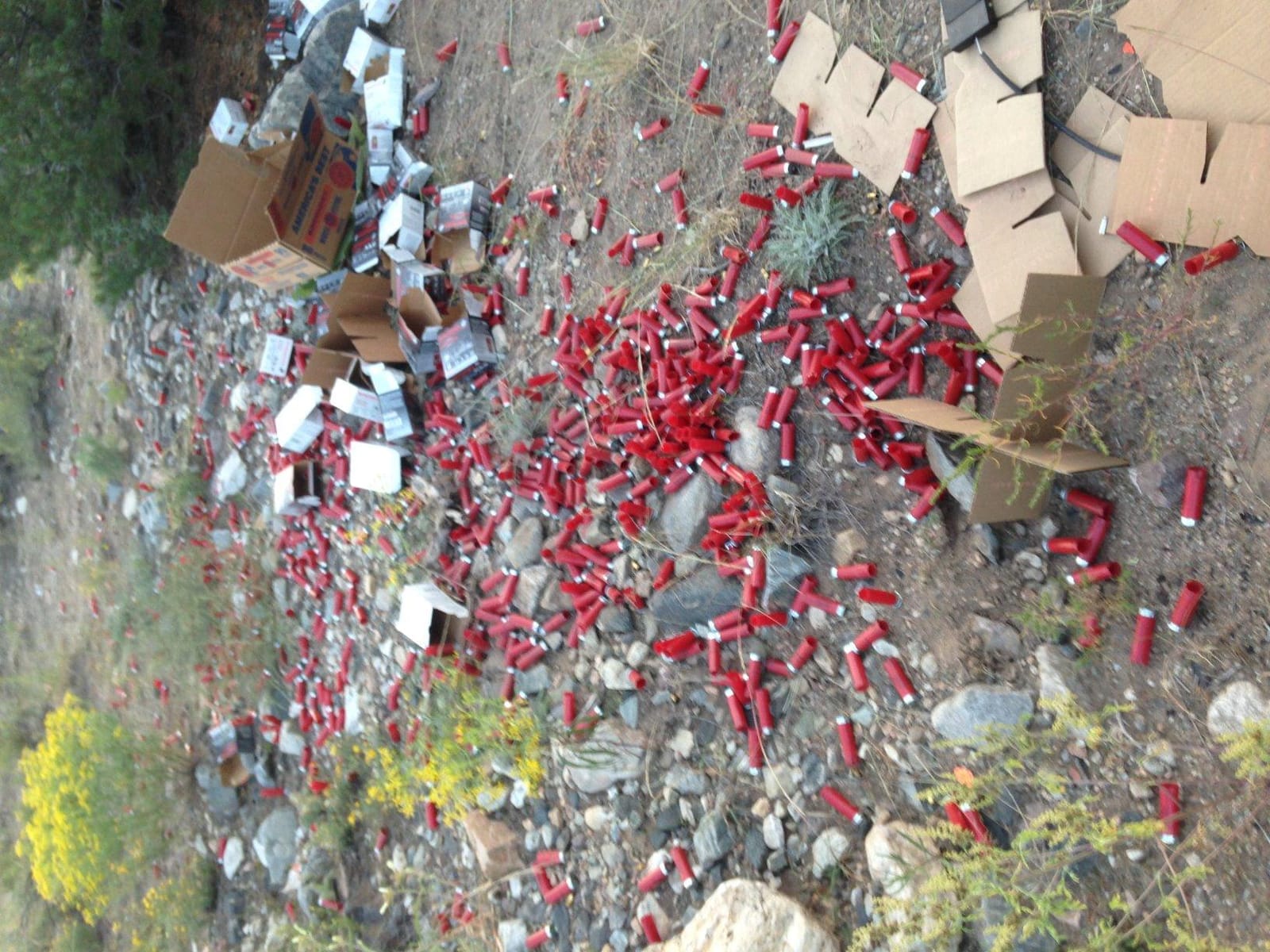 Champion WheelyBird Auto-Feed Trap customer photo 1