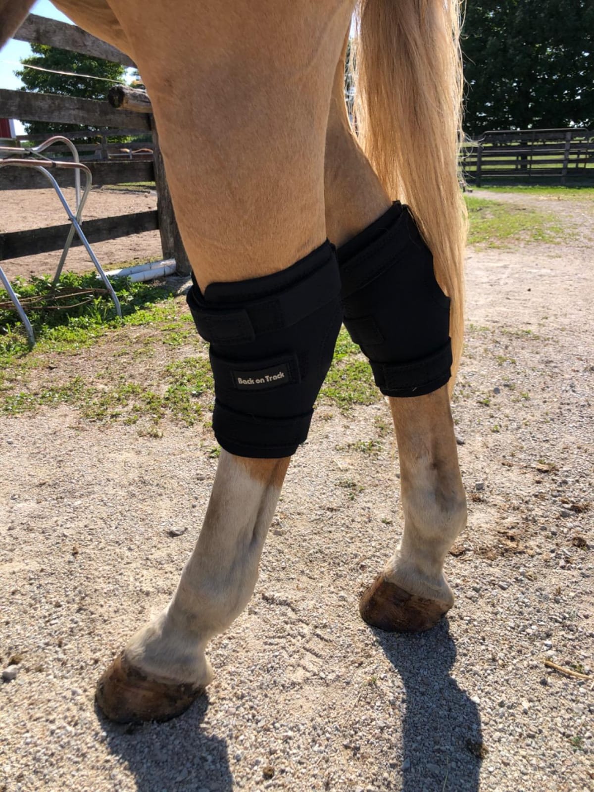 BACK ON TRACK Hock Boots with Holes for Horses (Pair) customer photo 2