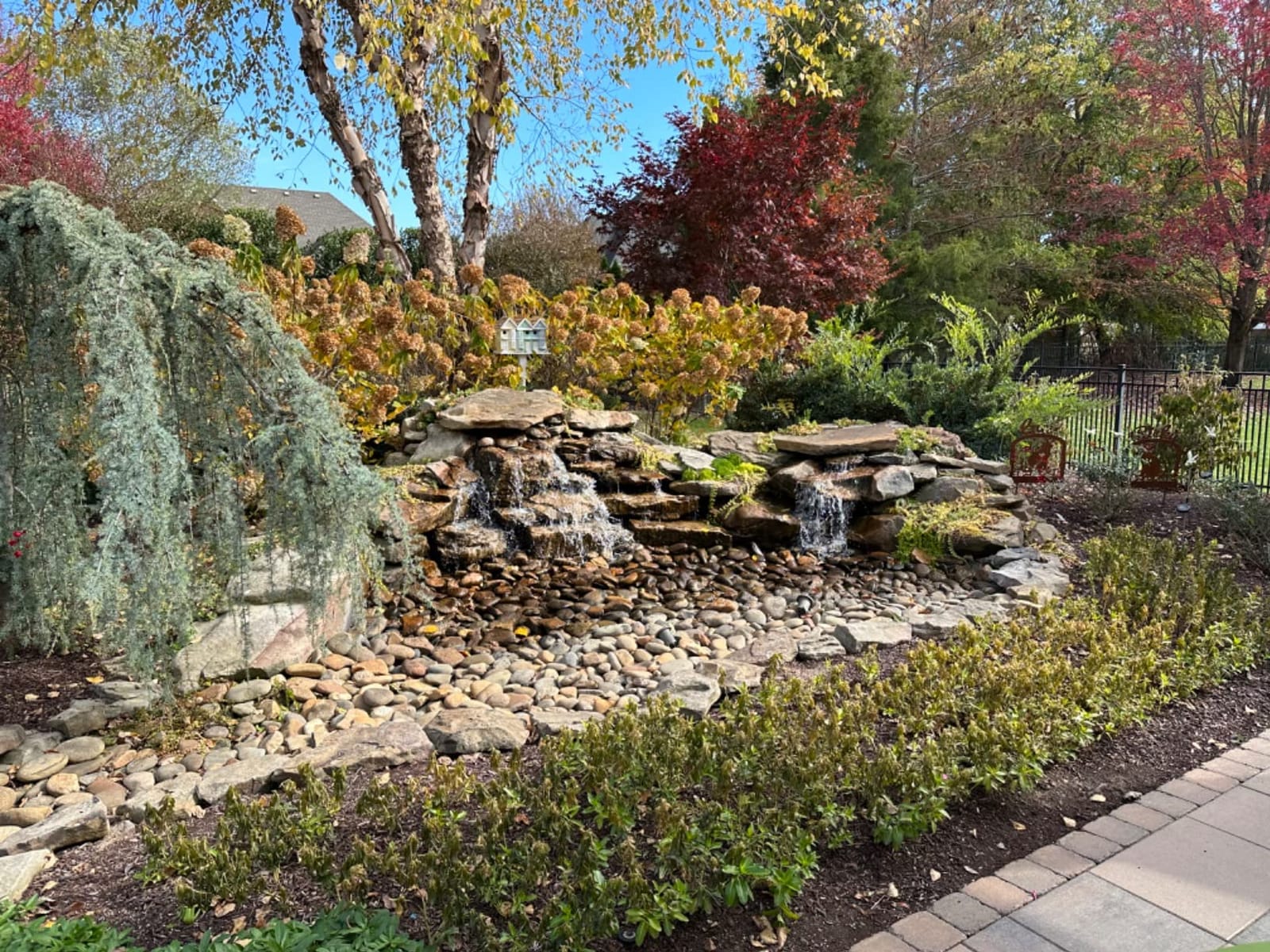 Aquascape 29977 Tsurumi 9PL Pump Solids Handling Skimmer and Pondless Waterfall Vault for Pond Water Feature Waterfall Garden, 6900 GPH 20 feet Cord 2 inch Discharge customer photo 1