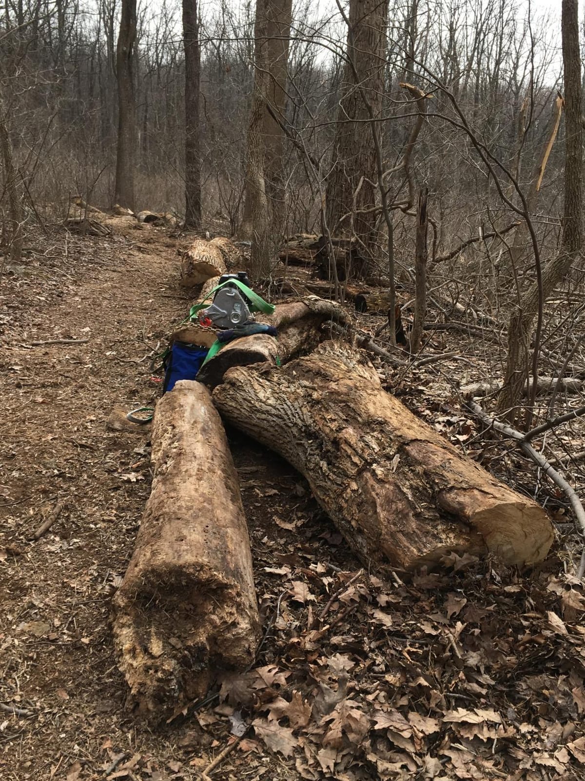 Portable Winch Co. PCW5000-FK Portable Gas-Powered Winch Forestry Kit customer photo 1