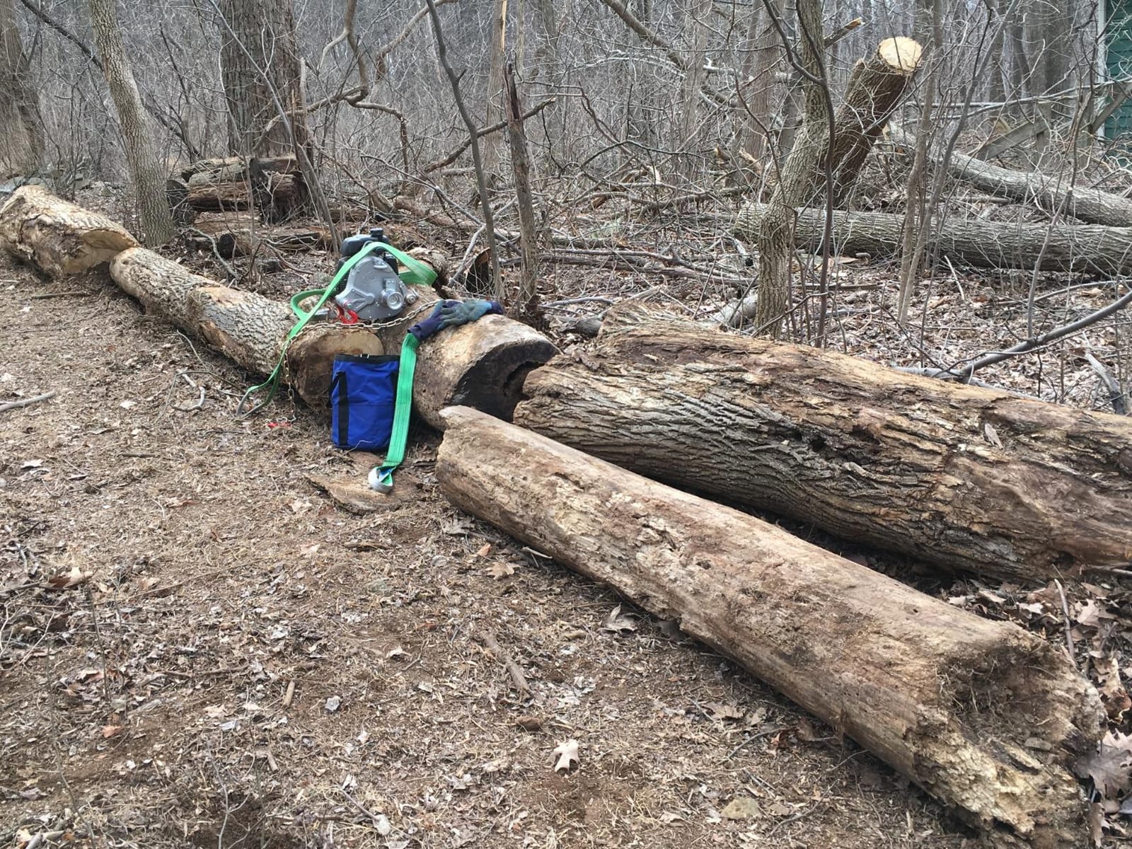 Portable Winch Co. PCW5000-FK Portable Gas-Powered Winch Forestry Kit customer photo 2