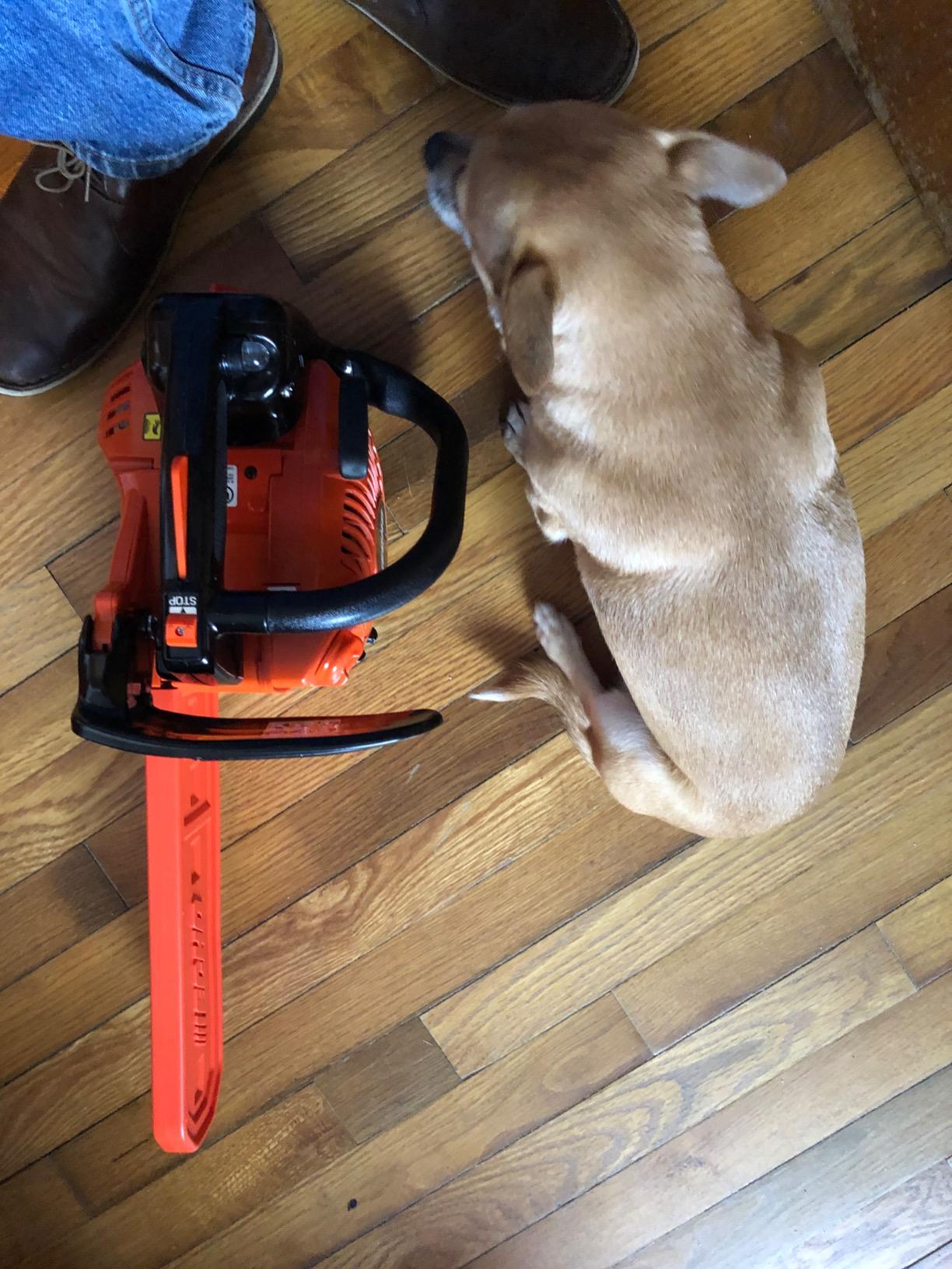 Chain Saw, Gas, 12 In. Bar, 26.9CC customer photo 2