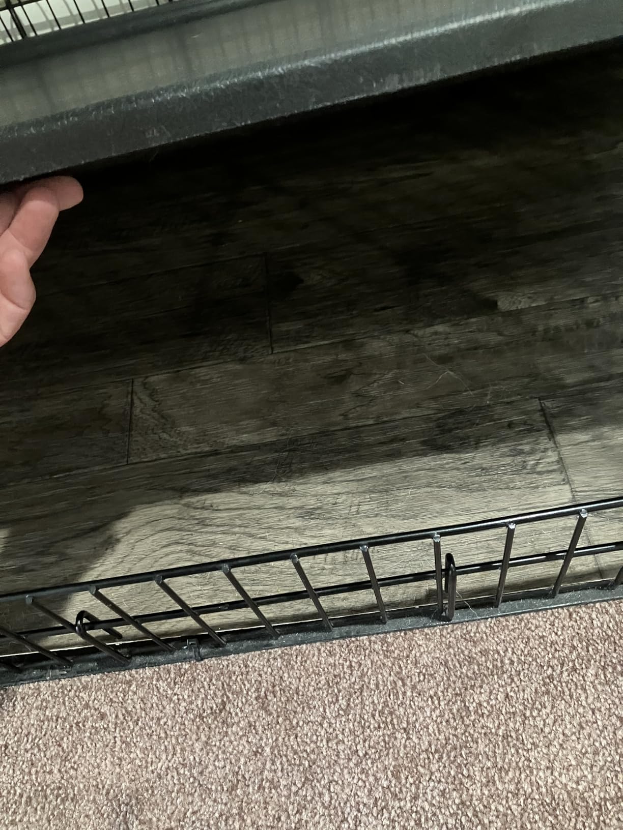 Solutions by Midwest 54-Inch Double Door Crate, Giant Breed Dogs, 100+ lbs customer photo 1