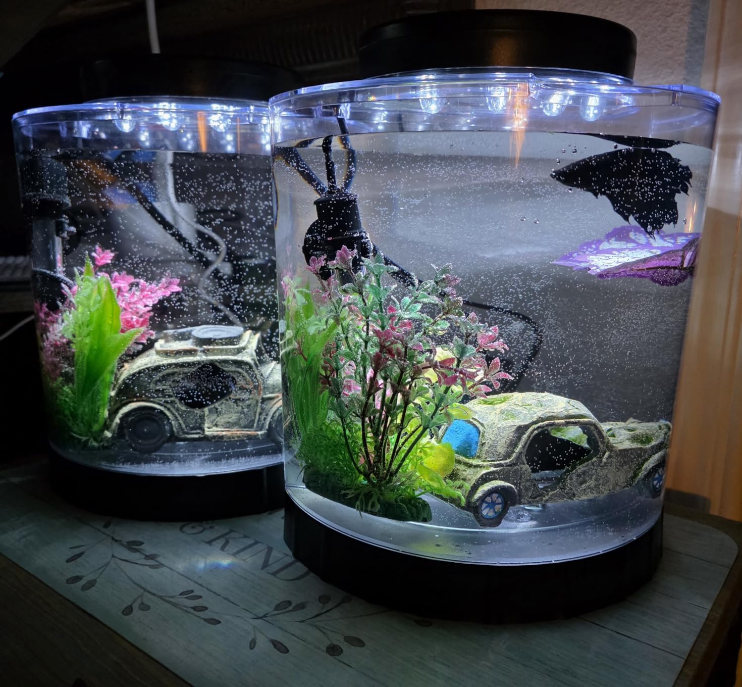 Tetra LED Half Moon 1.1 Gallon Fish Tank Kit for Betta Fish customer photo 1
