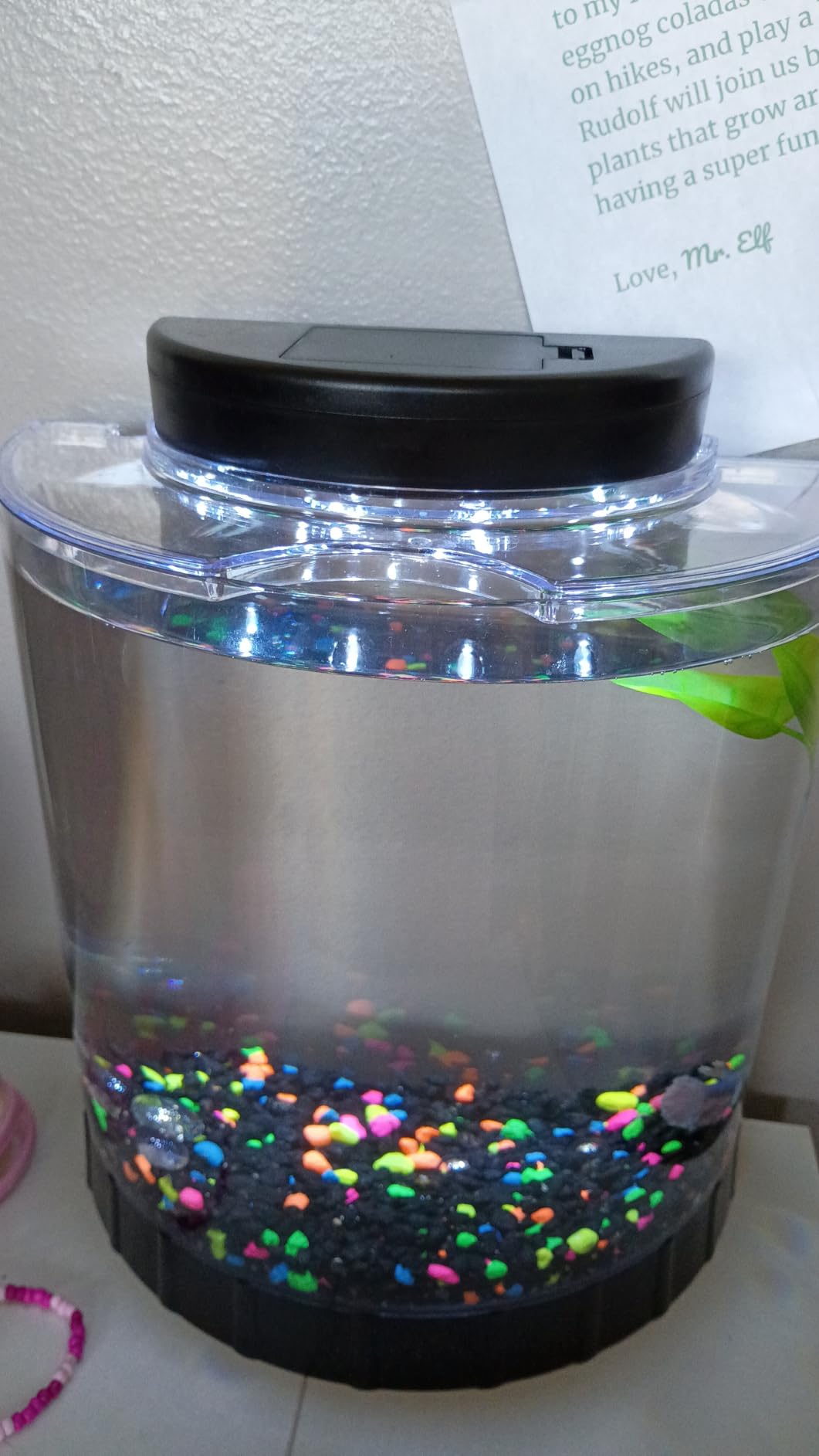 Tetra LED Half Moon 1.1 Gallon Fish Tank Kit for Betta Fish customer photo 2