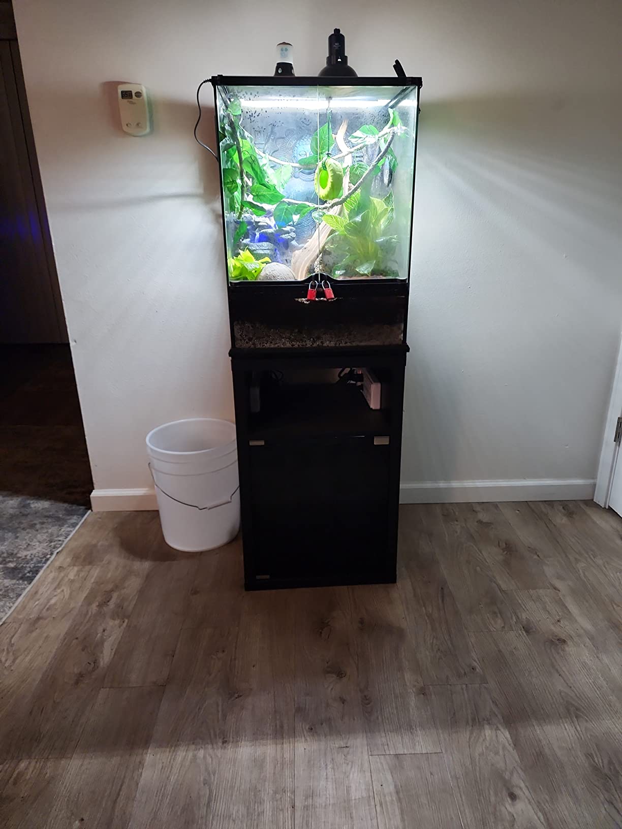 Exo Terra Terrarium Cabinet, Small - Reptile and Amphibian Terrarium Stand customer photo 2