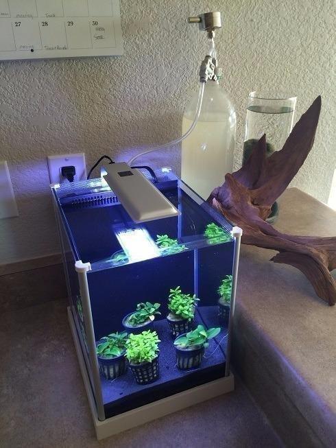 Fluval SPEC Freshwater Aquarium Kit, 2.6 Gallon, Black customer photo 1