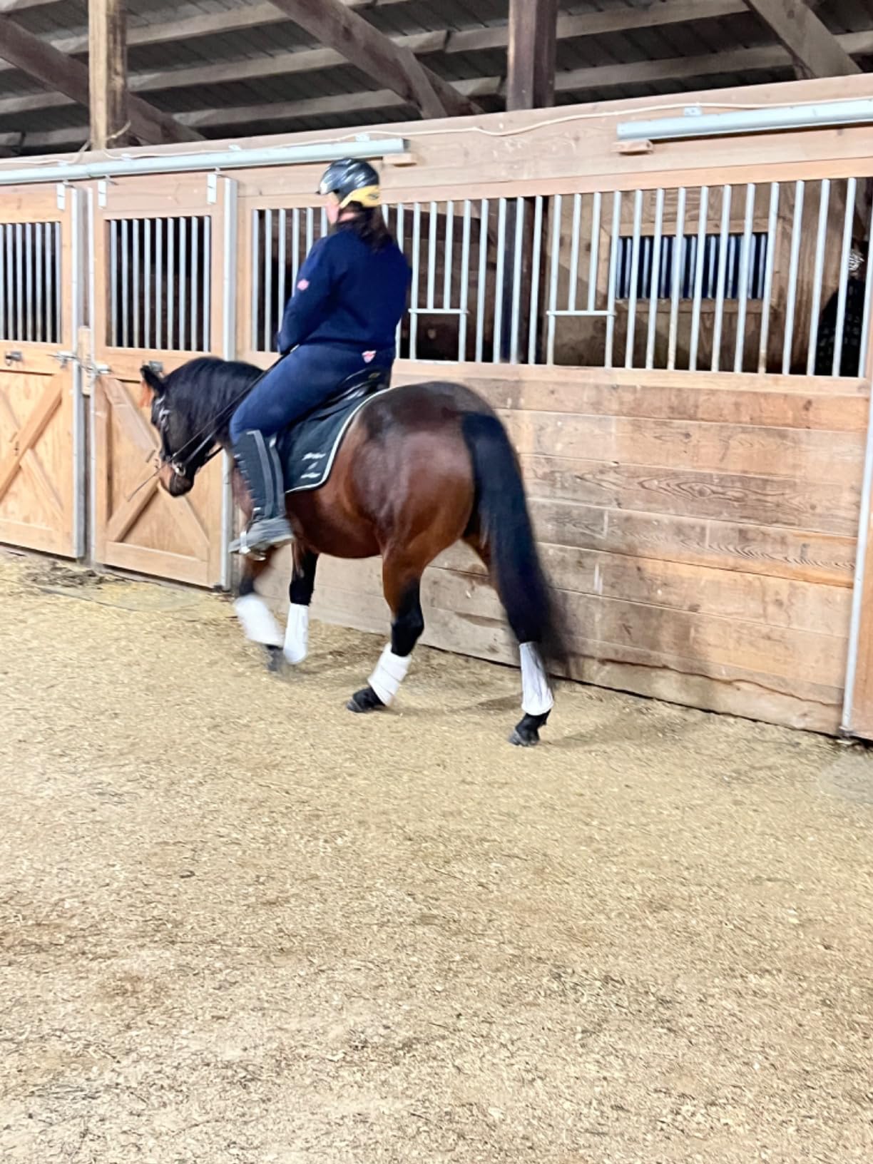 ECP Equine Comfort Products Adjustable Shock Absorbing Memory Foam Half Saddle Pad, Injury Prevention & Pressure Relief, Customizable Fit, Breathable for All Riding Styles customer photo 2