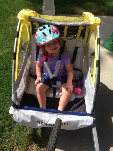 Schwinn Echo Child Bike Trailer, Max of 2 Children with Total Weight of 80 lbs., Canopy, 20-Inch Air-Filled Tires, Yellow/Grey customer photo 1