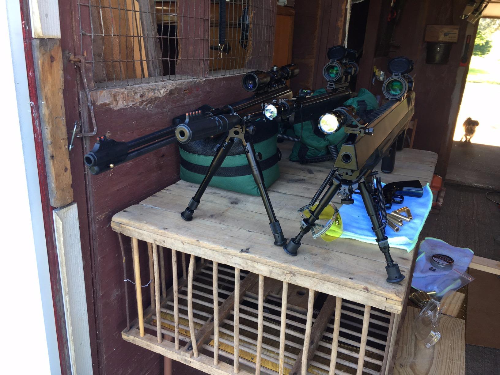 Benjamin Bulldog Hunting Rifle customer photo 2