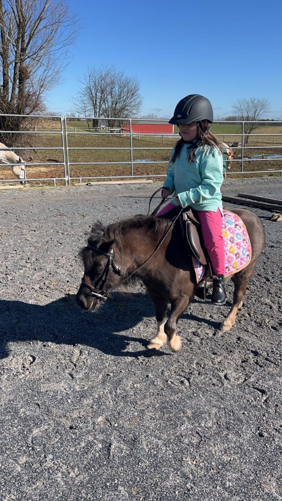 Small Kids English Leather Saddle 10'' / 12'' / 14