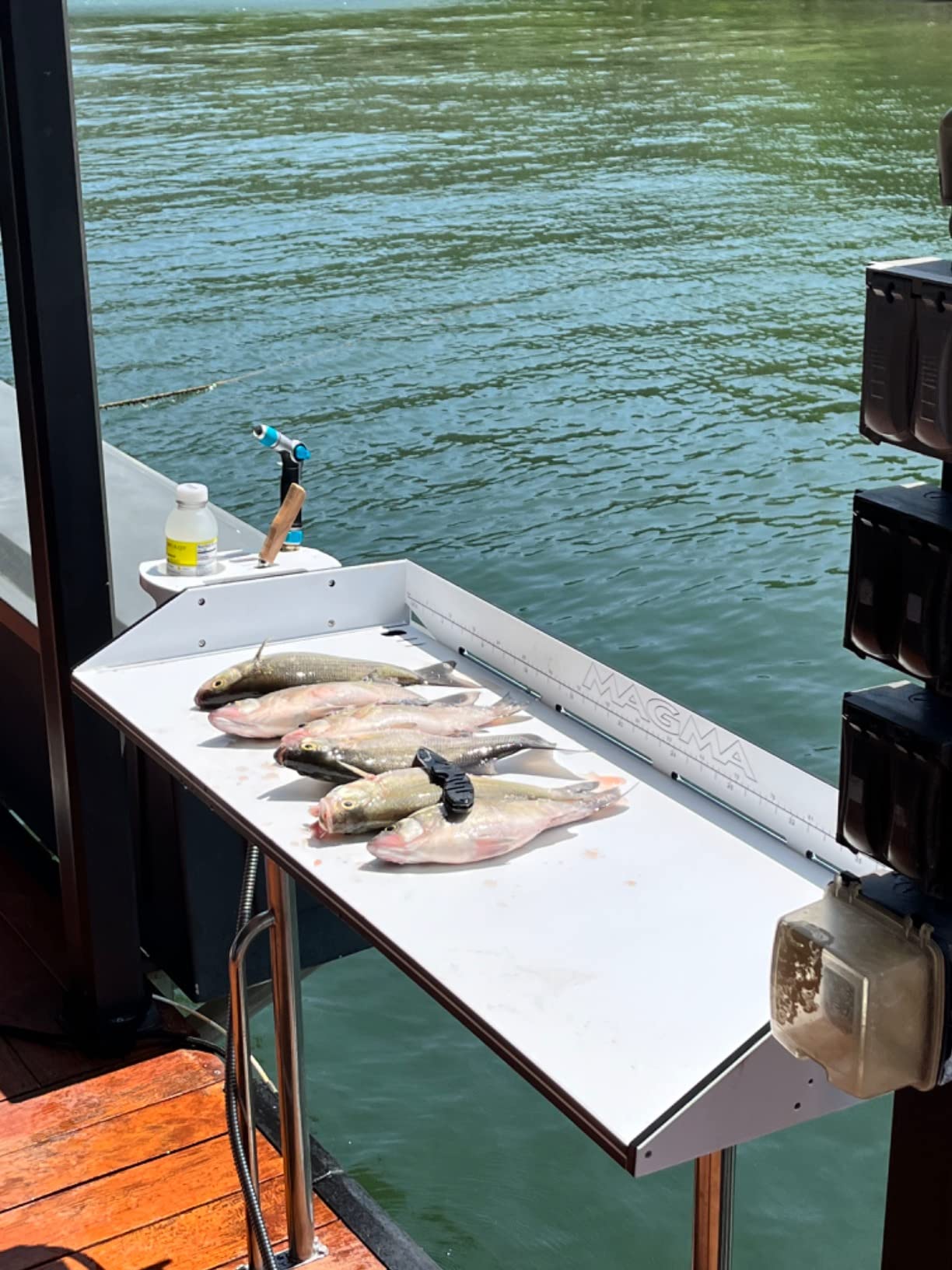 Magma Tournament Series Fish Cleaning Table - UV-Stabilized High-Density Polyethylene - 304 Stainless Steel Frame - Ruler, Knife Holders - Ideal Boat/Fishing Accessory - T10-449B customer photo 2