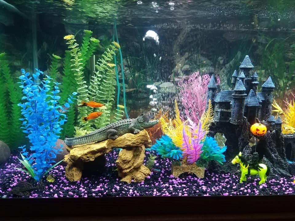 Marineland Magniflow 250 GPH Canister Aquarium Filter customer photo 2
