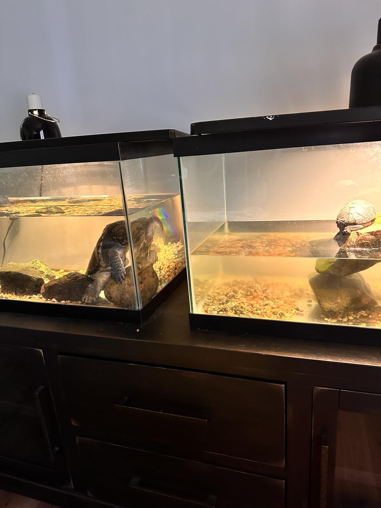 Marineland Magniflow 400 GPH Canister Aquarium Filter customer photo 1