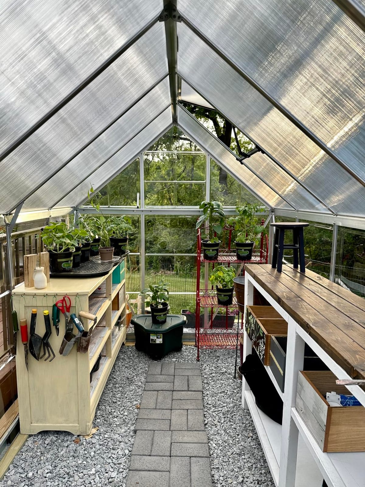Palram - Canopia Hybrid 6' x 14' Polycarbonate Aluminum Greenhouse, Silver customer photo 1