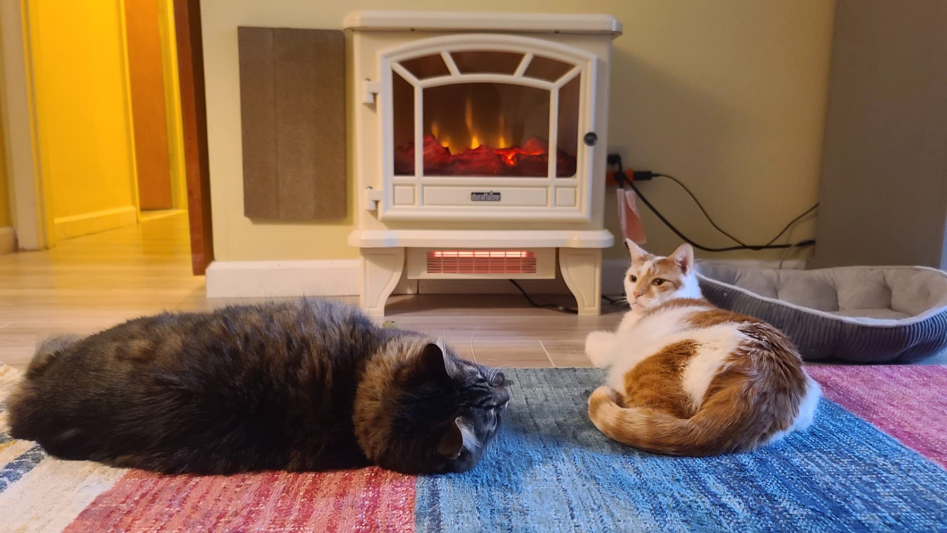 duraflame® Infrared Quartz Electric Fireplace Stove Heater, Black customer photo 2