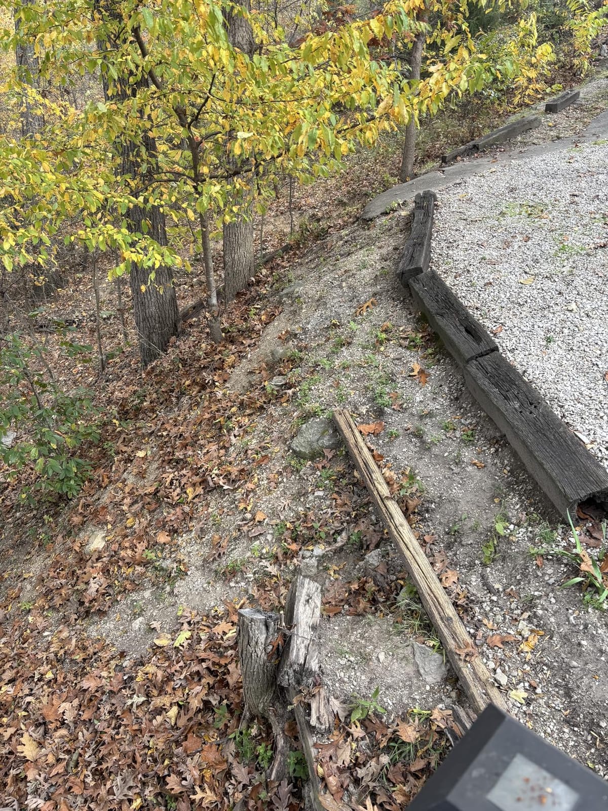 WORX 12 Amp Turbine Electric Leaf Blower for Daily Leaf Removal, WG520 customer photo 1