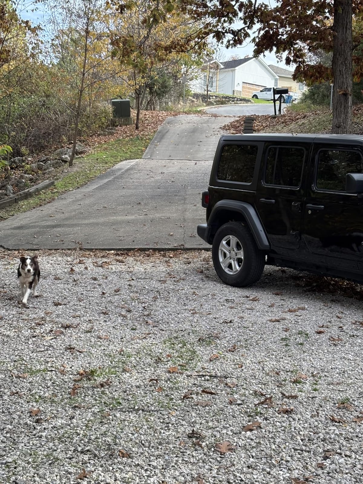 WORX 12 Amp Turbine Electric Leaf Blower for Daily Leaf Removal, WG520 customer photo 2