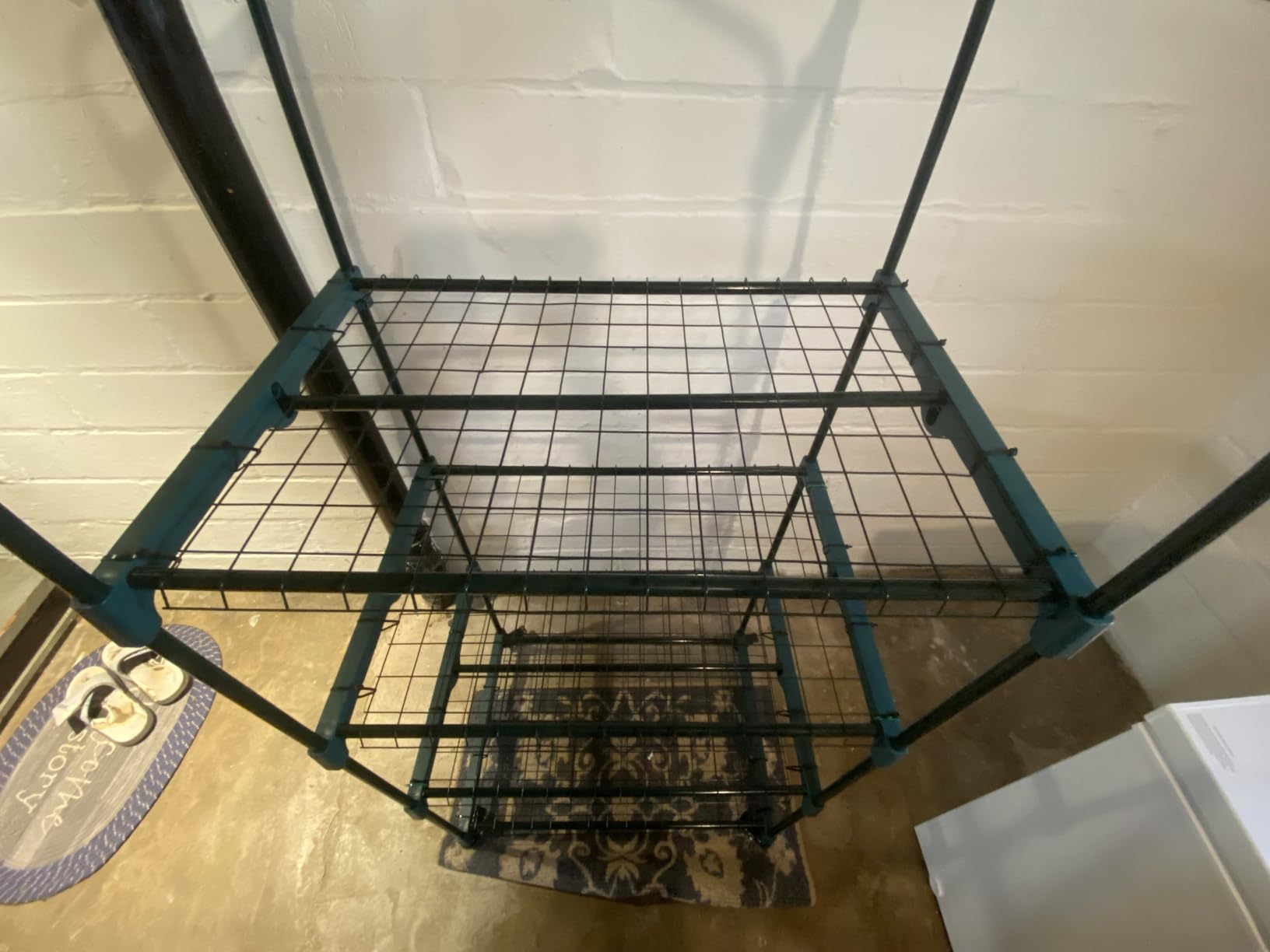 4 Tier Mini Greenhouse - Portable Greenhouse with Locking Wheels and PVC Cover for Indoor or Outdoor Green House by Pure Garden customer photo 1