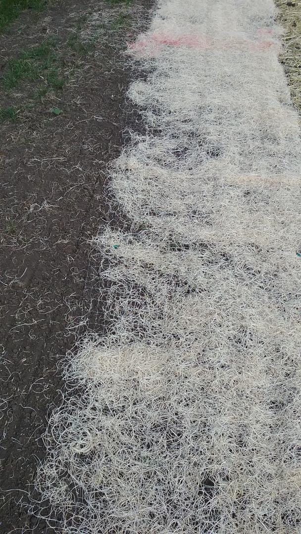 American Excelsior QuickGrass Pro Erosion Control Blanket Landscape Roll - 2-1/2'x50' customer photo 2