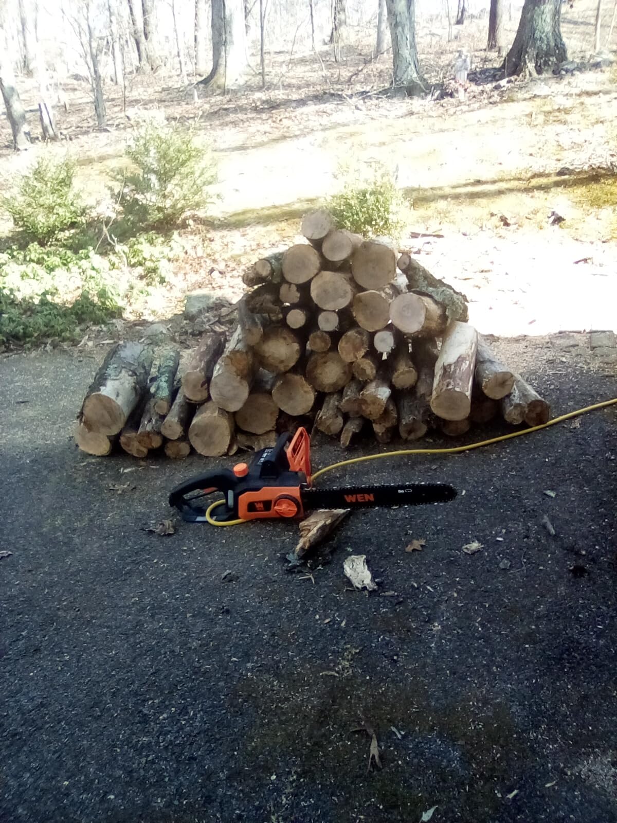 WEN CP1216 Electric Chainsaw, Corded, 12-Amp, 16-Inch customer photo 1