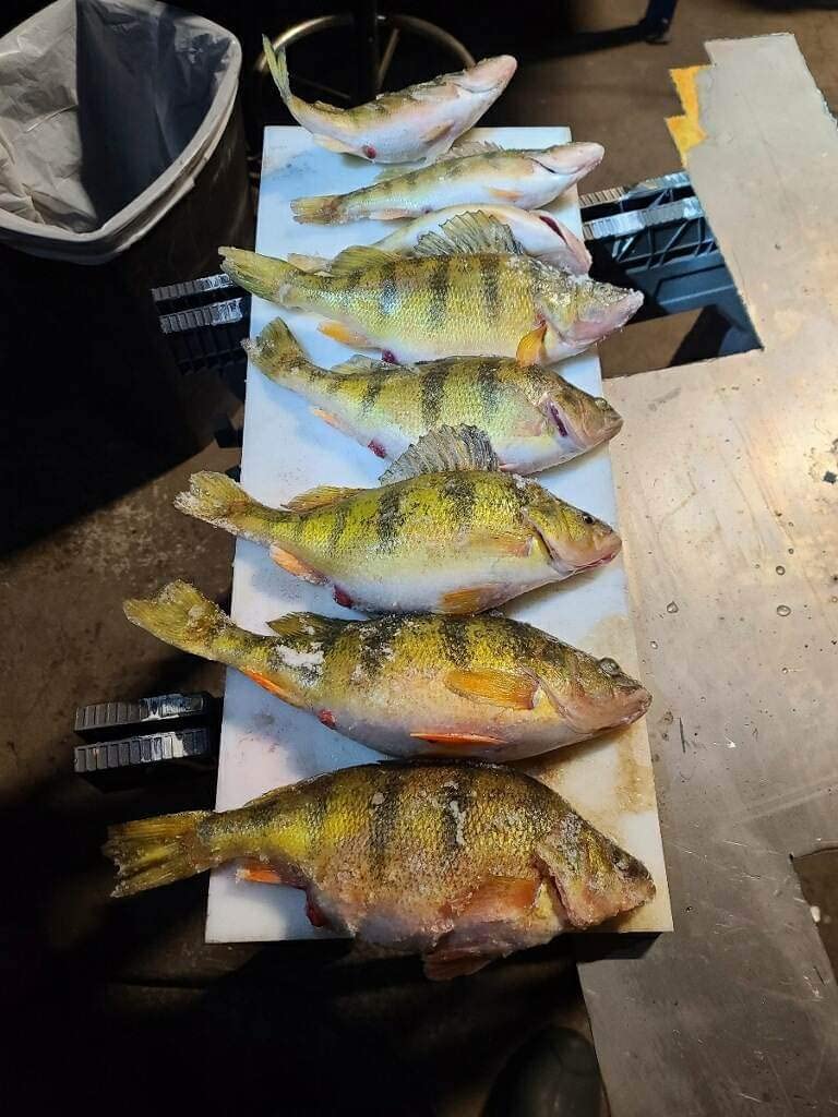 13 FISHING - Wicked - Spinning Ice Fishing Combos customer photo 1