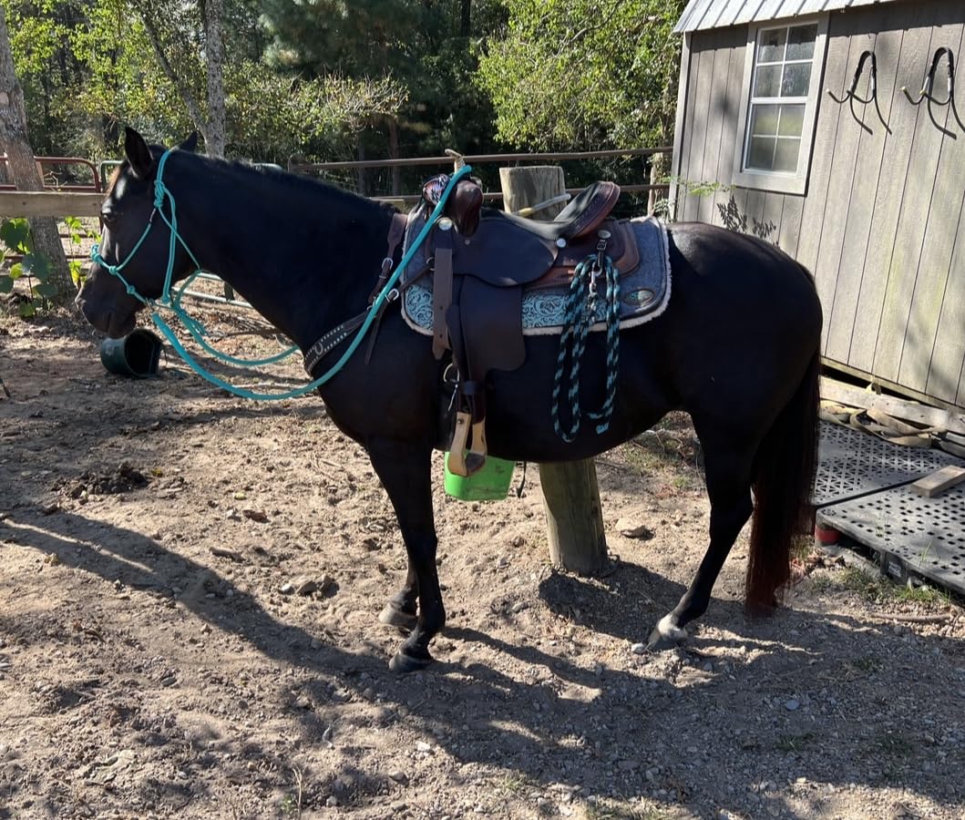 Southwestern Equine Made in the USA OrthoRide Correction Saddle - Fleece Bottom customer photo 1