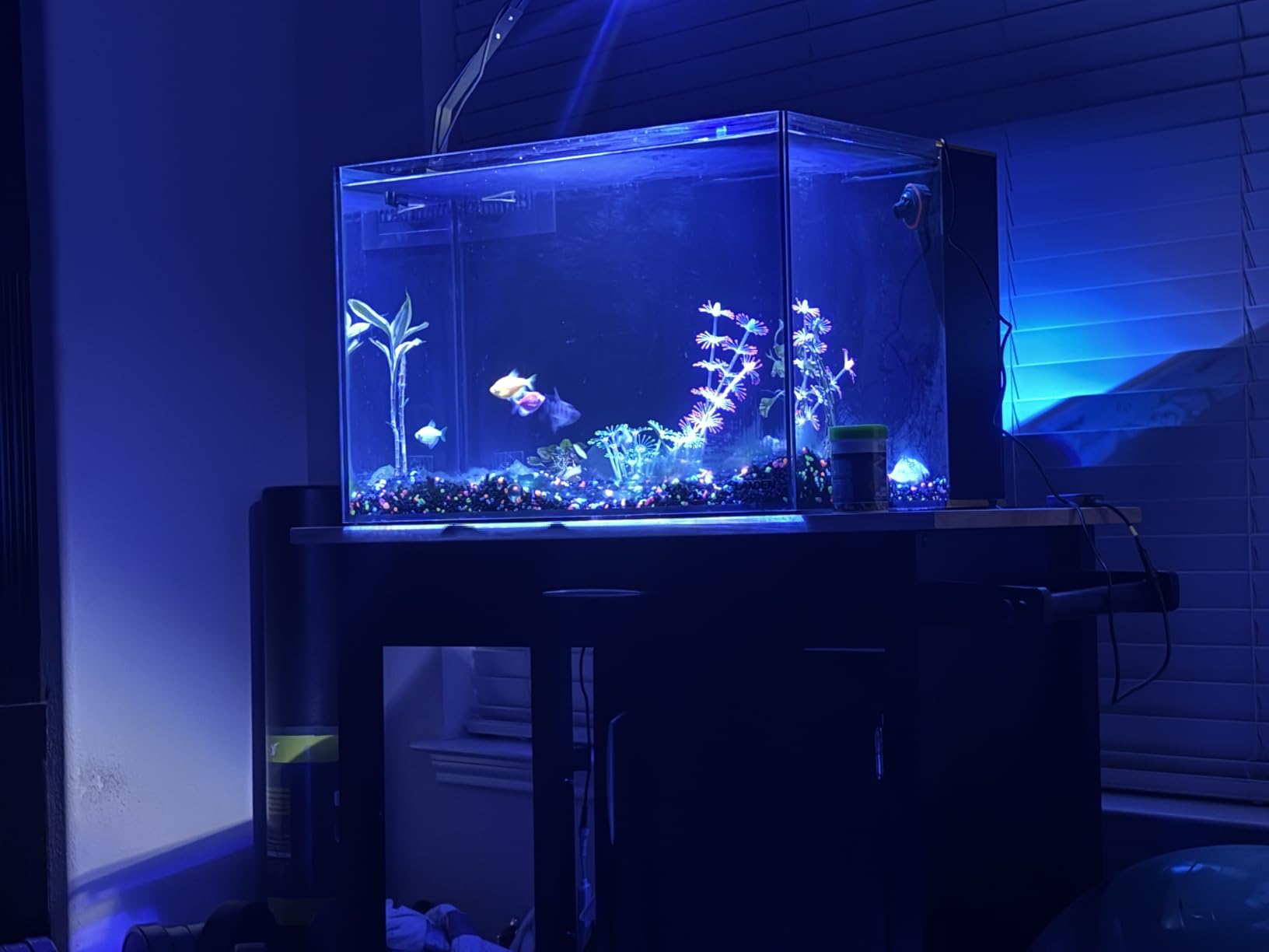 LANDEN EzFlux 40 Rimless 16 Gallon Rear Filtration Tank, Pump Included customer photo 2